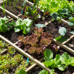Espaces Verts 1 Groupe APR en Béarn Professionnels tonte jardin